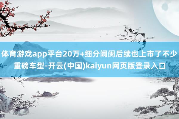 体育游戏app平台20万+细分阛阓后续也上市了不少重磅车型-开云(中国)kaiyun网页版登录入口