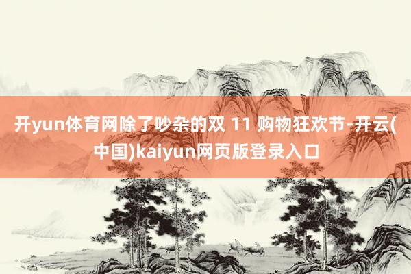 开yun体育网除了吵杂的双 11 购物狂欢节-开云(中国)kaiyun网页版登录入口