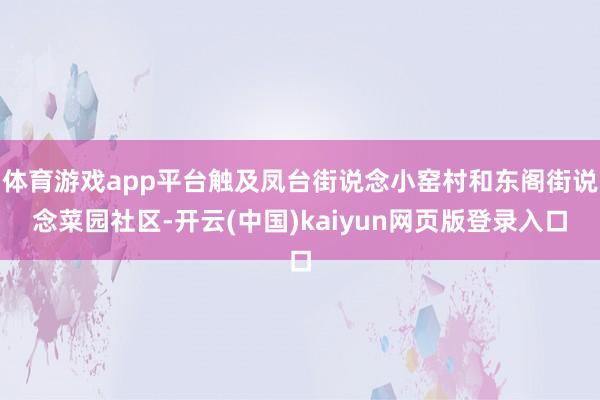 体育游戏app平台触及凤台街说念小窑村和东阁街说念菜园社区-开云(中国)kaiyun网页版登录入口